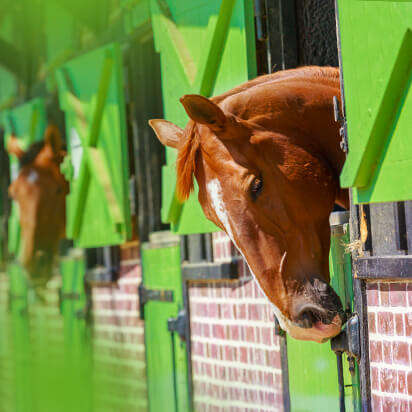 stallbedarf bubblenavibild